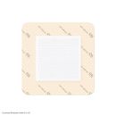 Suprasorb P sensitive border steril Schaumverbände 10 x 10 cm (10 Stck.)