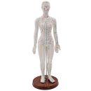 Akupunkturmodell Frau 0