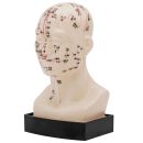 Akupunkturmodell Kopf 0