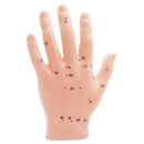Akupunkturmodell Hand 0