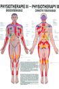 anat. Poster: Physiotherapie Bindegewebsmassage