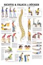 anat. Lehrtafel: Richtig & Falsch für Ihren Rücken 70 x 100 cm