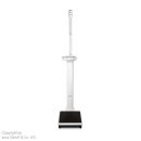 elektronische Säulenwaage seca 769 mit BMI-Funktion