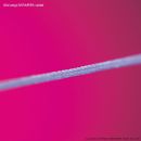 SERAFIT DS-18 4/0=1,5, violett, Nahtmaterial Fadenlänge 70 cm (24 Stck.)