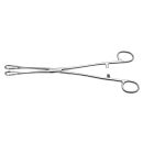 Rampley Schwammzange, gerade